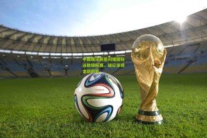 星空体育app-中国蝶泳新星闪耀国际泳联锦标赛，破纪录摘金创历史