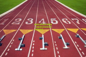 星空体育app-霍伊伦带伤坚守梦剧场，夏窗离队风波背后的忠诚与抉择