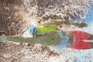 星空体育官网|加克波豪言荷兰队剑指世界杯冠军，誓言扛起领袖重任引领新一代郁金香绽放