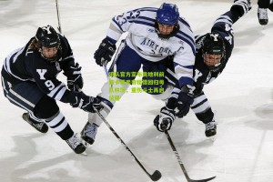 星空体育下载|狼队官方宣布奥地利前锋卡莱季奇租借回归母队林茨，重伤斗士再启征程