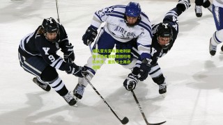 星空体育下载|狼队官方宣布奥地利前锋卡莱季奇租借回归母队林茨，重伤斗士再启征程