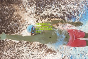 星空体育官网：约基奇狂轰44+13+7仍无缘日最佳！哈登一战破13项纪录抢走风头