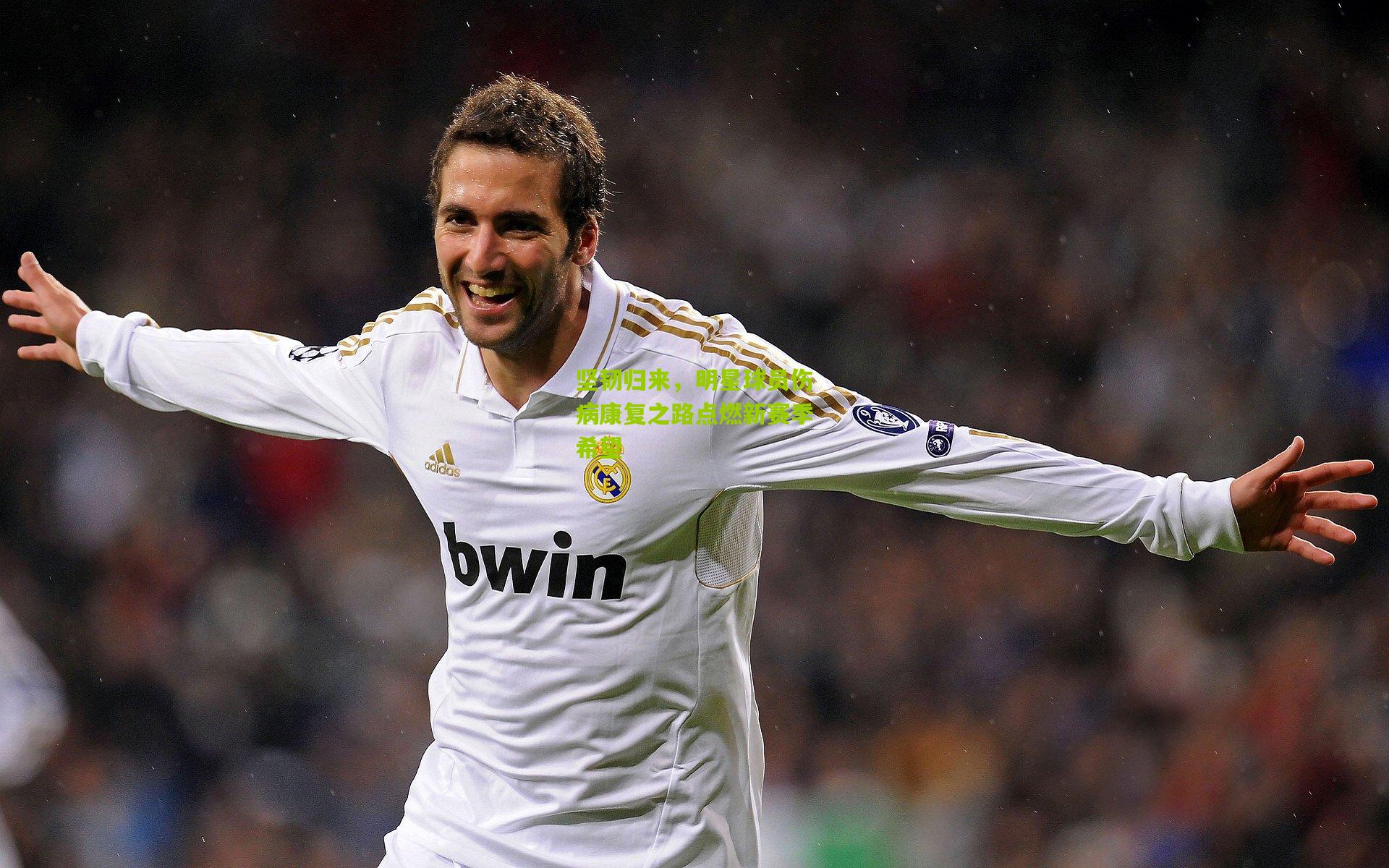 坚韧归来,明星球员伤病康复之路点燃新赛季希望