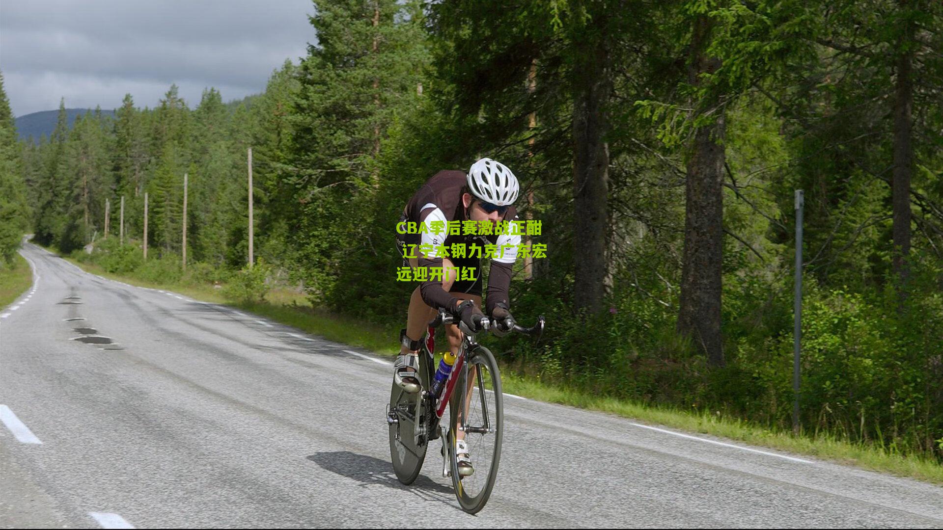 CBA季后赛激战正酣 辽宁本钢力克广东宏远迎开门红