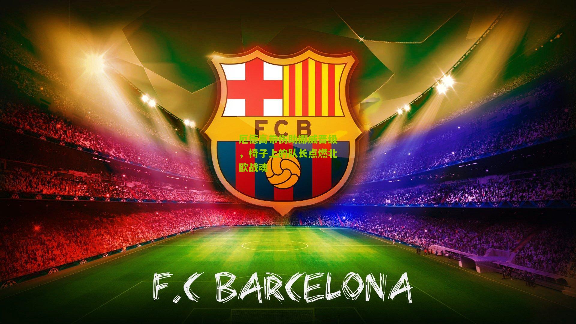 厄德高带伤助挪威晋级，椅子上的队长点燃北欧战魂